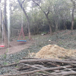 Nitra - odstraňovanie a drtenie náletových drevín z detského ihriska